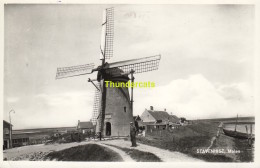 CPA STAVENISSE MOLEN FOTOKAART CARTE DE PHOTO - Stavenisse