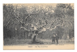(10098-51) Verzy - Un Faux De La Forêt - Verzy