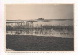 33729  -  Zevekote  Prairies Inondées  1952    - Carte Photo - 2  Scans - Gistel