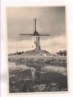 33730  -    Damme  Molen  -  Moulin  Carte  Photo  1952 - Damme