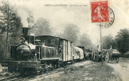 Crecy En Ponthieu Le Train En Foret Circulee En 1909 - Crecy En Ponthieu