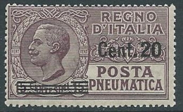 1924-25 REGNO POSTA PNEUMATICA SOPRASTAMPATO 20 SU 15 CENT MNH ** - G233 - Poste Pneumatique