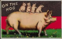 CPA Fantaisie  Cochon Pig Circulé  Position Humaine Gaufré - Cerdos