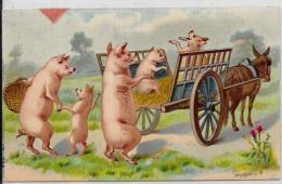 CPA Fantaisie  Cochon Pig Circulé  Position Humaine - Schweine