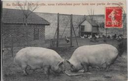 CPA Cochon Pig Circulé Ferme - Varkens