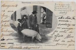 CPA Cochon Pig Circulé Bretagne BOTREL - Cochons