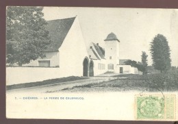 Cpa Chièvres  Ferme De Calbreucq  1903 - Chievres