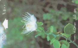 Oman,  OMN-G-29F, Capparis Spinosa, 2 Scans. - Oman