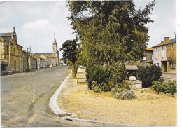 THENEZAY - Place De L'Hôtel De Ville Et Les Promenades Ombragés - Thenezay