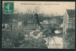 SAVIGNY LE TEMPLE - Cours D'eau De NOISEMENT (lavandière ) - Savigny Le Temple