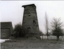 BAASRODE Bij Dendermonde (O.Vl.) - Molen/moulin - Prentkaart Van De Romp Van De Bookmolen In 1981 - Dendermonde