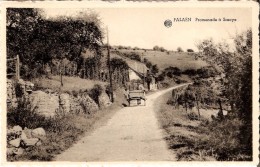 FALAËN (ENVIRONS DE ONHAYE - 5522) : Promenade à SOSOYE. CPSM Dentelée. - Onhaye