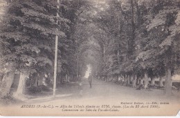 ARDRES                         Allee Des Tilleuls - Ardres