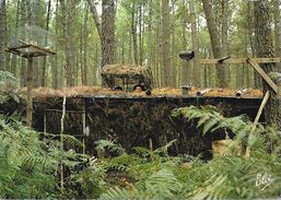 Chasse à La Palombe - Landes - La Palombière En Forêt - Carte Elcé Non Circulée - Chasse