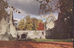 United Kingdom PPC Scotland Dryburgh Abbey On The River Tweed W.S. Thomson Photo Unused (2 Scans) - Berwickshire