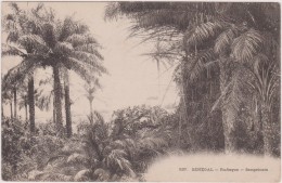 Cpa,le Sénégal En 1900,Rufisque ,sangalcam,afrique De L´ouest,subsaharienne,pré S Mauritanie,malie,guinée ,guinée Bissau - Senegal