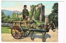 RB 1108 - Early Ireland Eire Ethnic Postcard - A Killarney Motor - Donkey & Cart - Europe