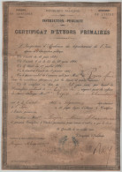 Certificat La Tour Du Pin Rojon Vignieu 1895 - Diplômes & Bulletins Scolaires