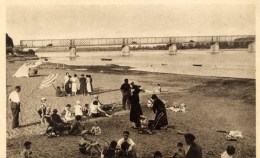 44 MAUVES Sur LOIRE La Plage Et L'Ancien Pont  Animée - Mauves-sur-Loire