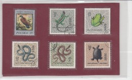 Tematica  Animali Vari 6  Stamps Used - Sonstige & Ohne Zuordnung