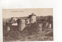 Tonquedec Le Chateau - Tonquédec