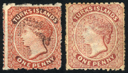 Sc.4/5, 1873/9 1p. In The 2 Colors, Mint No Gum, Fine To VF Quality, Catalog Value US$120. - Turks- En Caicoseilanden