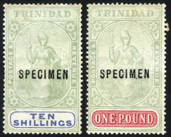 Sc.89/90, 1896/904 10S. And 1£, The 2 High Values Of The Set With SPECIMEN Ovpt., Mint No Gum, VF! - Trinidad & Tobago (1962-...)
