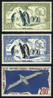 Sc.C1/C3, 1956 Penguins And 1959 Albatross, 3 Values MNH, Excellent Quality, Catalog Value US$117. - Poste Aérienne