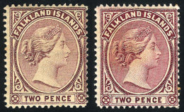 Sc.13, 1891/1902 2p., 2 Examples In Magenta (without Gum) And Dull Magenta (original Gum), Very Nice! - Falklandeilanden