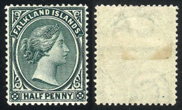 Sc.9, 1891/1902 1p. Green, With Watermark LETTER C, VF Quality! - Falkland