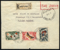 Registered Airmail Cover Sent From FURN-EL-CHUBBAK To Uruguay On 16/DE/1965 With Nice Thematic Postage... - Libanon