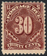 Sc.J36, 1894/5 30c. Dark Carmine, Unwatermarked, Perf 12, Very Nice, Catalog Value US$550. - Postage Due