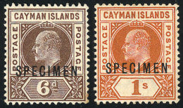 Sc.6/7, 1901/3 6p. To 1S., The 2 High Values Of The Set With SPECIMEN Ovpt., Mint No Gum, VF Quality! - Cayman Islands