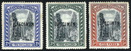 Sc.33/36, 1901 Cmpl. Set Of 3 Values With SPECIMEN Ovpt., Mint No Gum, VF Quality, Catalog Value US$165. - Bahamas (1973-...)