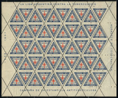 Argentine League Against Tuberculosis, 1956/7 Campaign, Complete Sheet Of 50 Cinderellas Of 1P., VF Quality! - Andere & Zonder Classificatie