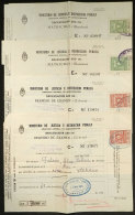 National Taxes, DERECHOS DE EXAMENES Y MATRÍCULAS (exam Fee): 8 Forms With 11 Stamps, Rare! - Sonstige & Ohne Zuordnung