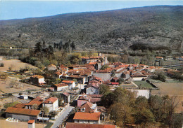 82-FENEYROLS- VUE GENERALE AERIENNE - Sonstige & Ohne Zuordnung