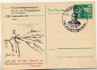 DDR P79-43-82 C211 Postkarte PRIVATER ZUDRUCK Charles Darwin Finsterwalde Sost. 1982 - Cartes Postales Privées - Oblitérées