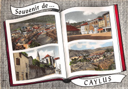 82-CAYLUS- MULTIVUE - Caylus