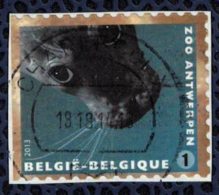 Belgique 2013 Oblitéré Used Zoo D´Anvers Animaux Phoca Vitulina Phoque Commun - Used Stamps