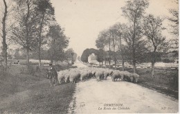 94 - ORMESSON - La Route Des Châtelets - Ormesson Sur Marne