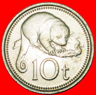 § POSSUM: PAPUA NEW GUINEA ★ 10 TOEA 1976 GREAT BRITAIN MINT LUSTER! LOW START★ NO RESERVE! - Papua New Guinea