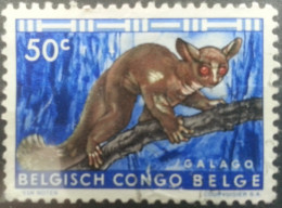 CONGO BELGE  -  Rhinoceros  -  Hippotragus Equinus  -  Vellozia  -  Galago - Ongebruikt