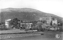 84-LOURMARIN-  LE CHÄTEAU - Lourmarin