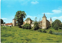 FALAËN (ENVIRONS DE ONHAYE - 5522) : Le Château Ferme. CPSM Peu Courante. - Onhaye
