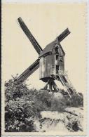 CPA Moulin à Vent Non Circulé KEERBERGEN Belgique - Windmolens
