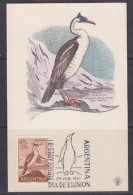 Argentina 1961 Cormoran / Antarctica 1v Maxicard (31303) - Cartas & Documentos