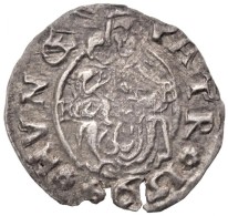 1594K-B Denár Ag 'Rudolf' (0,44g) T:2,2- Ki.
Huszár 1059.,Unger I.: 811.a - Non Classificati