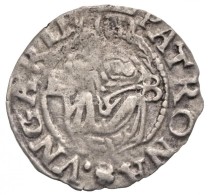 1575-1578K-B Denár Ag 'Miksa' (0,47g) T:2-
Huszár: 993.,Unger II.: 767.a - Unclassified