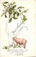 T2/T3 New Year, Pig, M. M. Nr. 671. Litho (EK) - Non Classificati